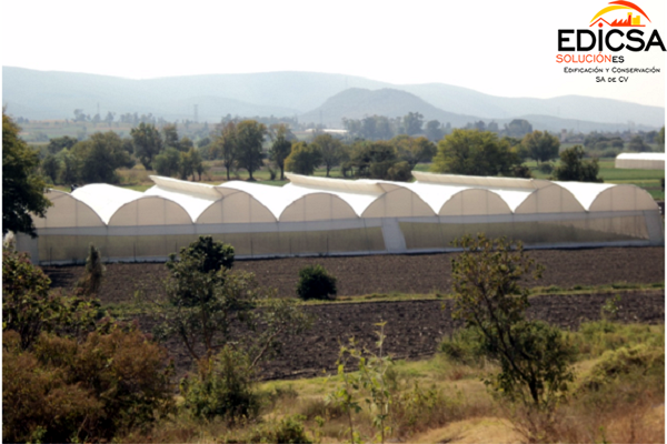 Invernadero Macroclima