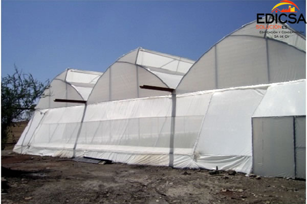Invernadero Microclima