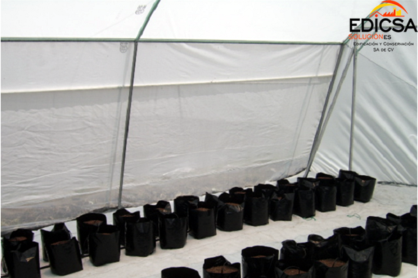 Invernadero Microtunel