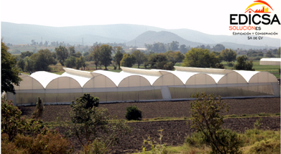 Servicios de construcción de invernaderos